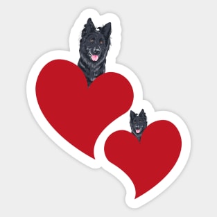 Groenendael Belgian Shepherd in Heart Sticker